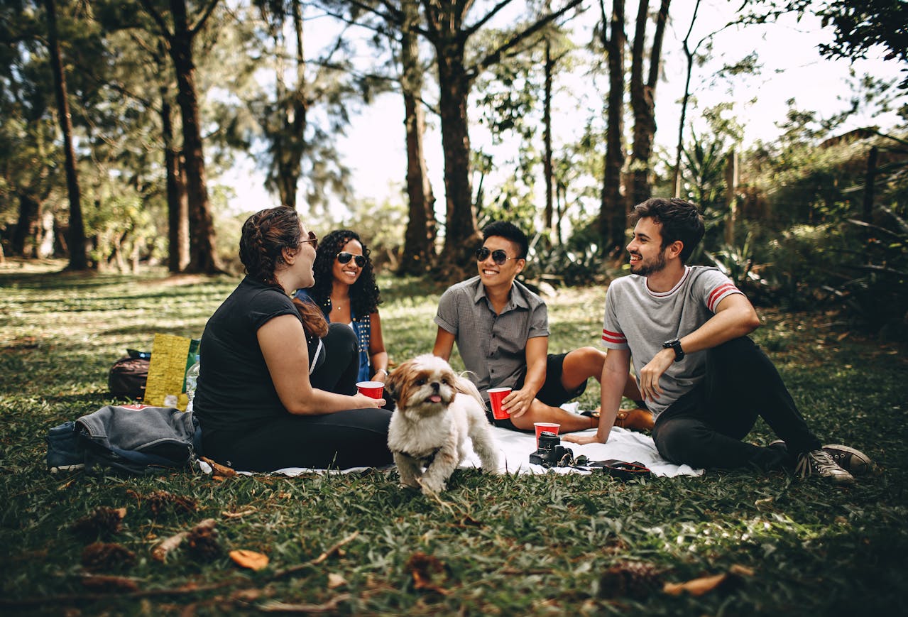 picnic